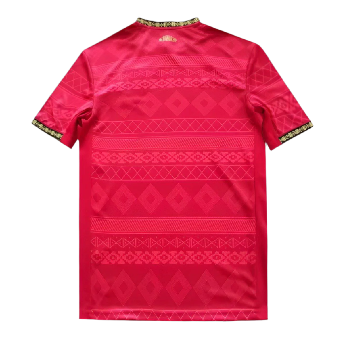 Brazil | 2025 Red Special Jersey